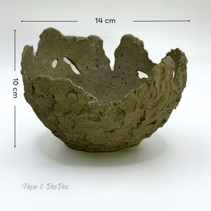 Hatchling | Small | Olive Green