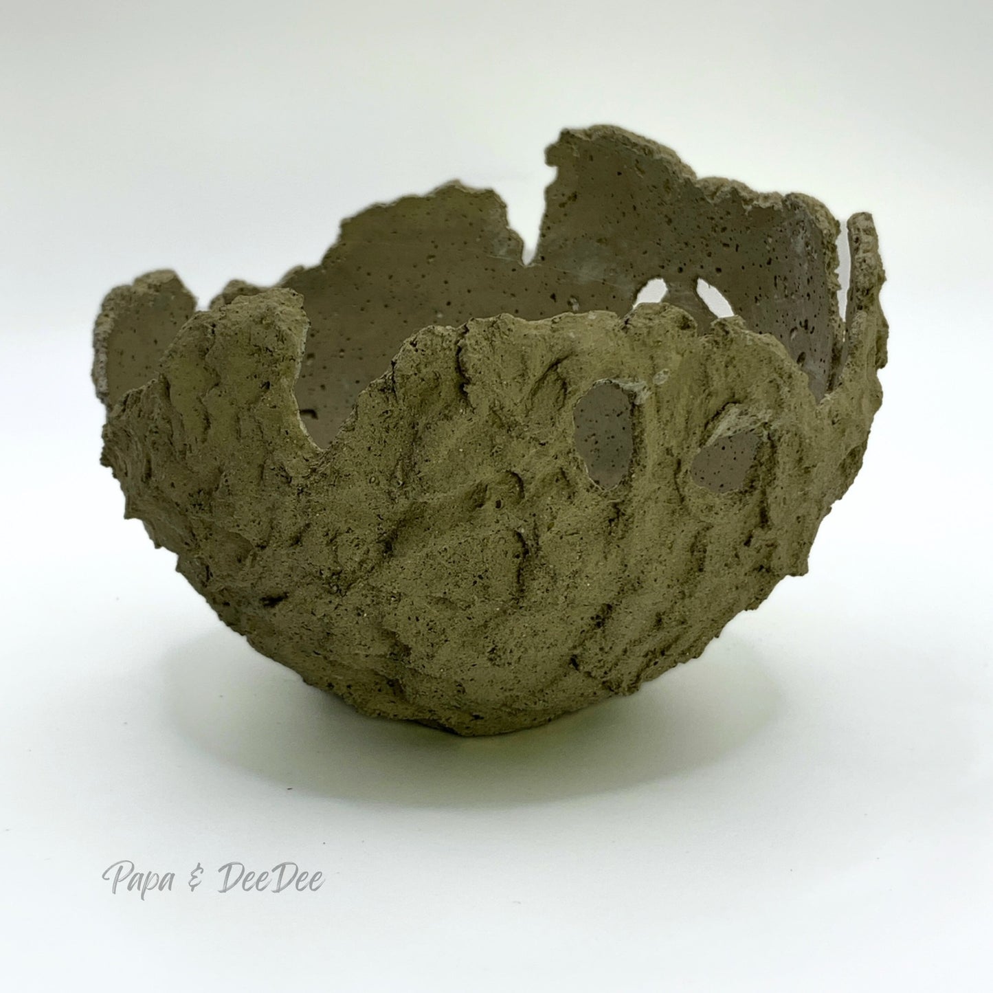 Hatchling | Small | Olive Green