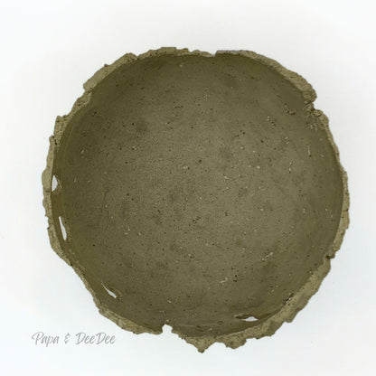 Hatchling | Small | Olive Green