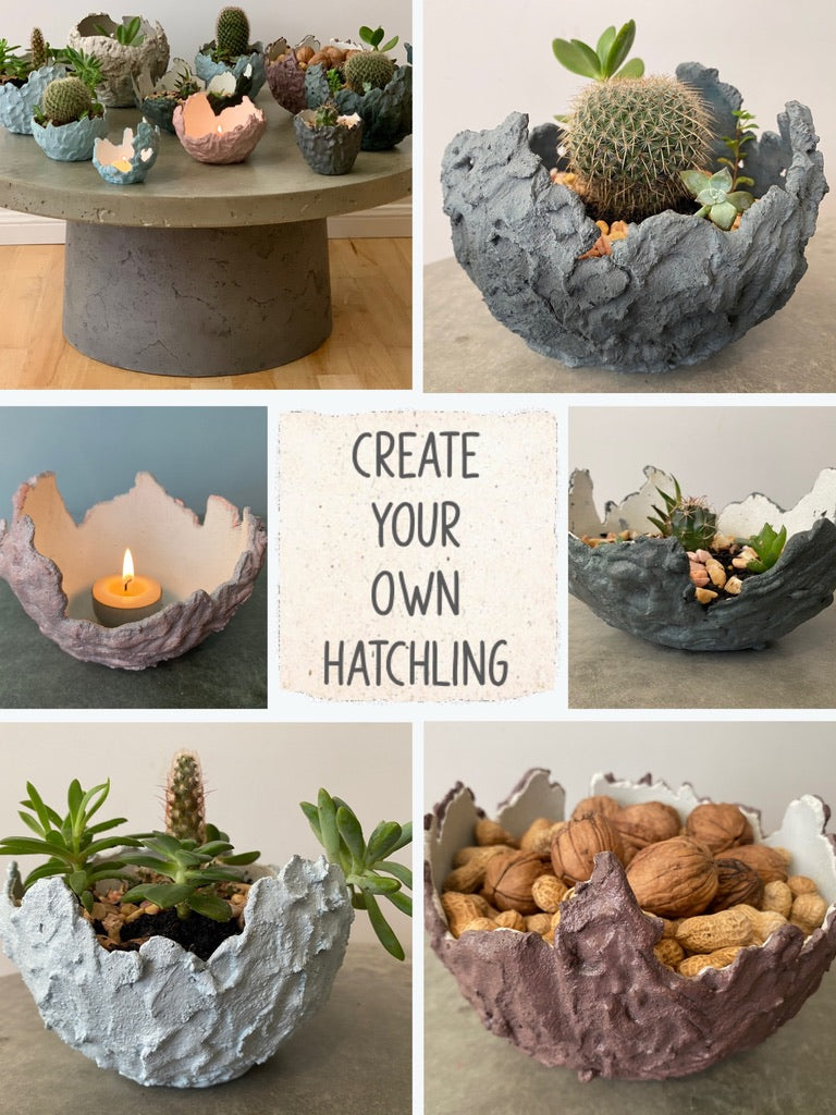 Hatchling Workshop | COMING SOON