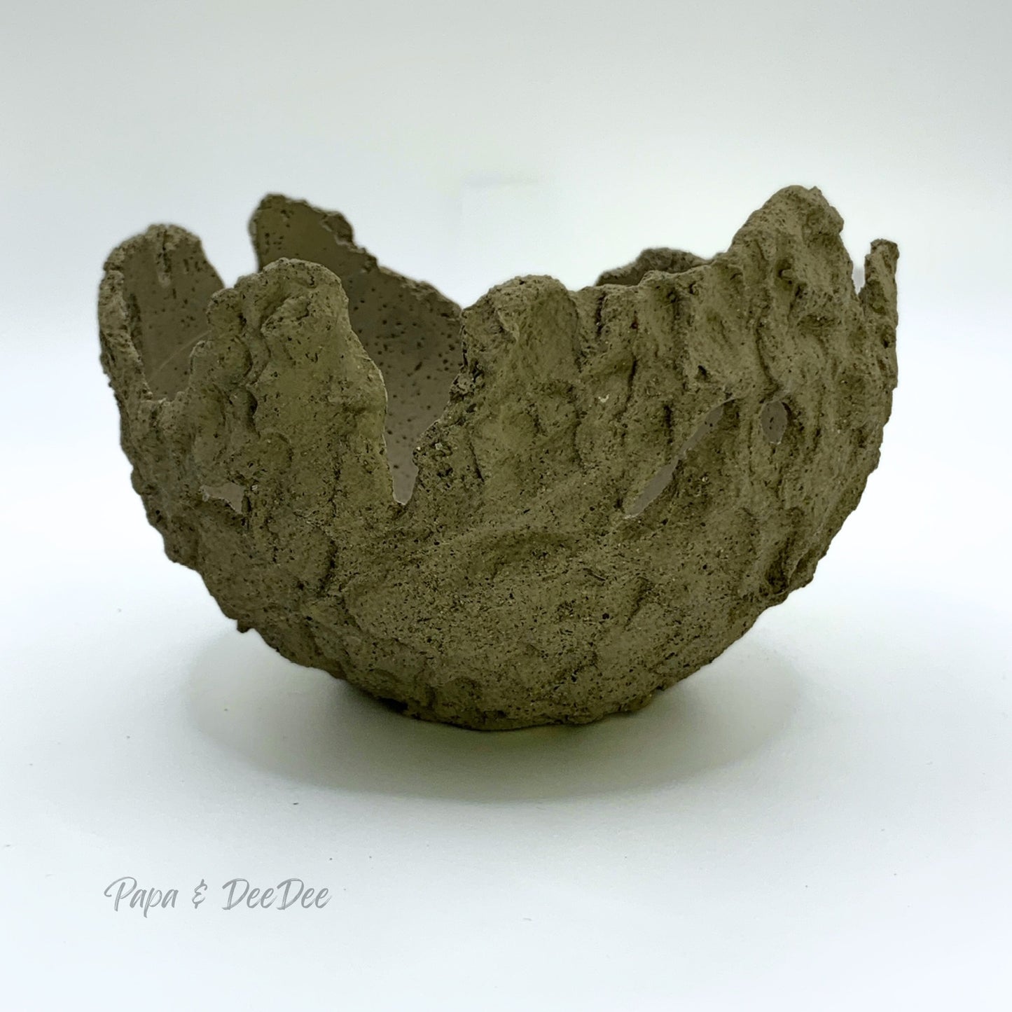 Hatchling | Small | Olive Green