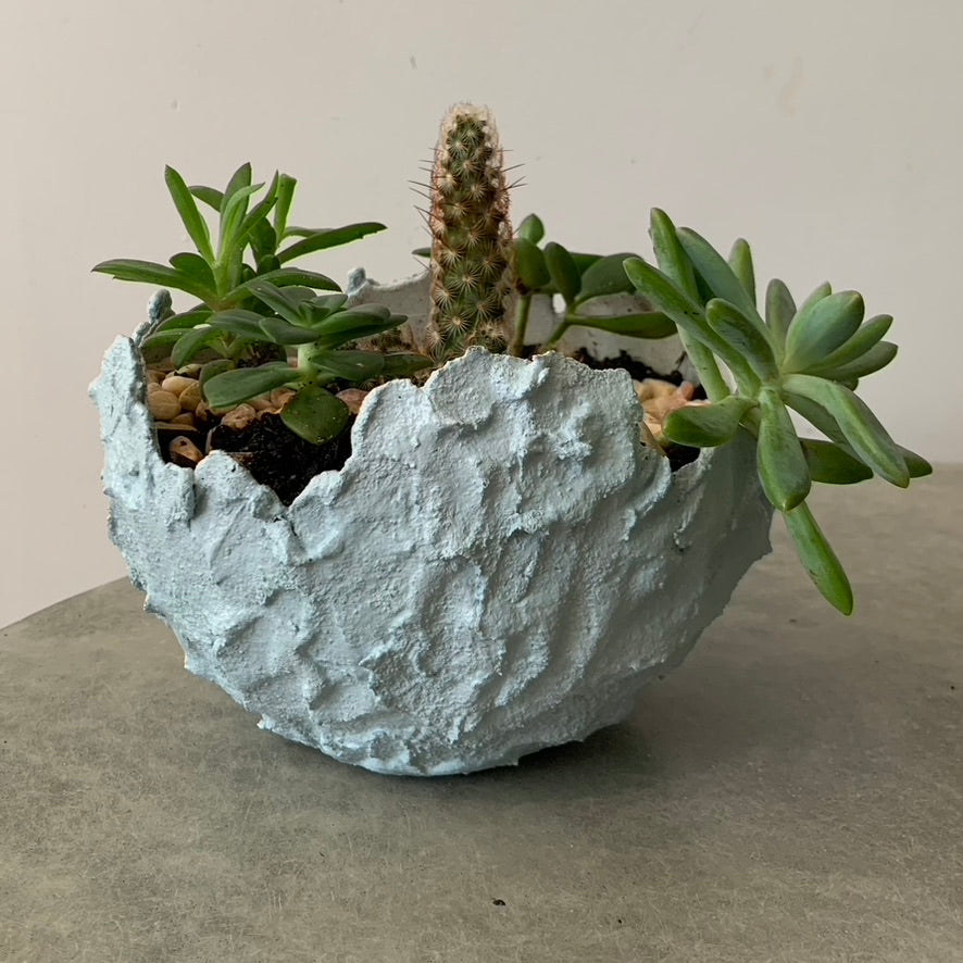 Hatchling | Small | Olive Green