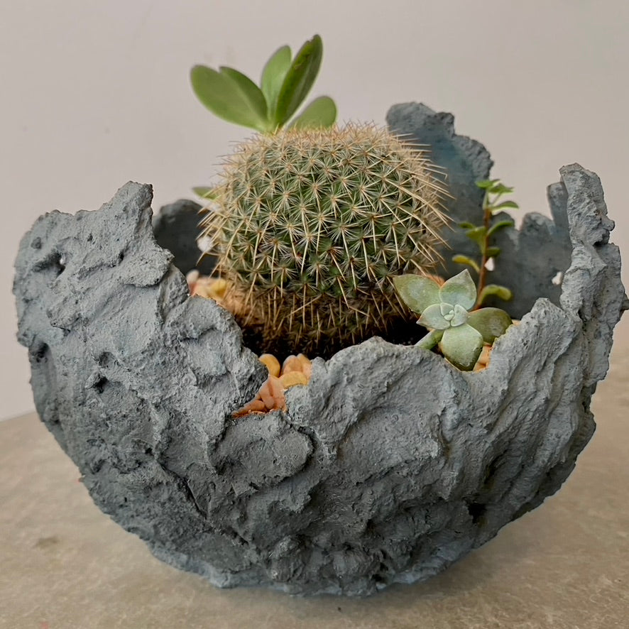 Hatchling | Small | Olive Green